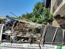 Best Carpet Removal and Disposal  in Cedar Grove, FL